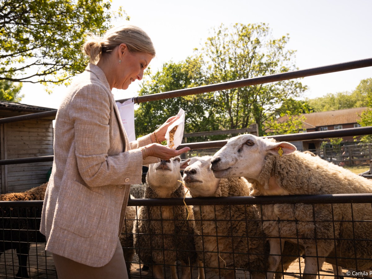 Duchess of Edinburgh visits Surrey Docks&nbsp;Farm